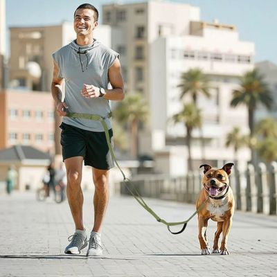 Homme faisant du jogging avec un Pitbull et une laisse main libre pour chien fixée à la ceinture.
