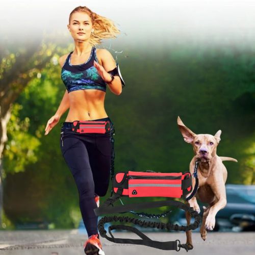 Femme faisant son jogging avec un Braque de Weimar attaché à une laisse pour chien mains libres rouge, idéale pour le canicross avec sa pochette.
