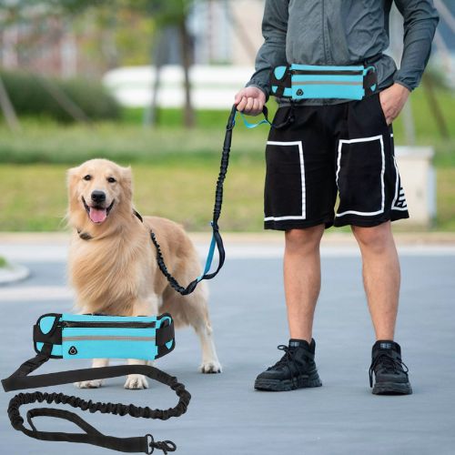 Homme en promenade avec un Golden Retriever utilisant une laisse pour chien mains libres bleue 3 en 1 avec sac banane intégré pour le confort.