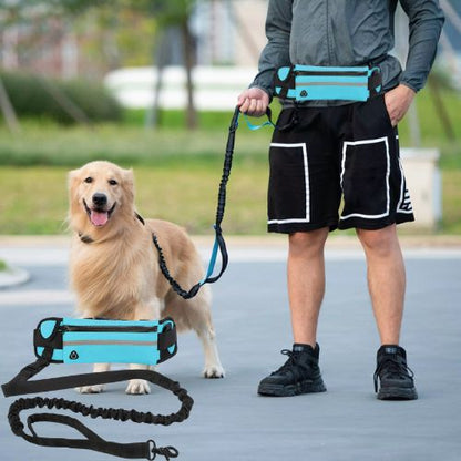 Homme en promenade avec un Golden Retriever utilisant une laisse pour chien mains libres bleue 3 en 1 avec sac banane intégré pour le confort.