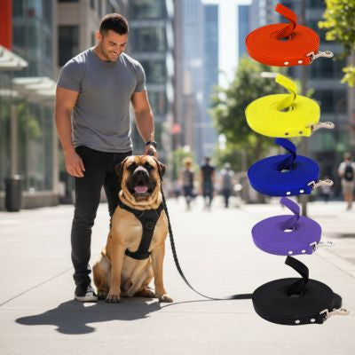 Homme avec Mastiff en ville et présentation de 5 couleurs de laisse pour chien en nylon.