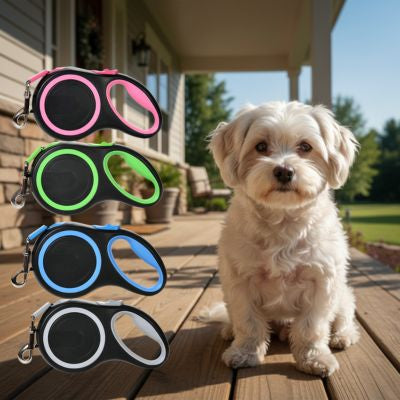 Quatre modèles de laisse pour chien (rose, vert, bleu, blanc) et un petit chien blanc.