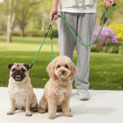 Un Carlin et un Caniche beige tenus en laisse pour chien verte dans un parc.