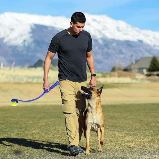 Homme marchant dans un champ avec un Malinois et un lanceur de balle pour chien bleu.