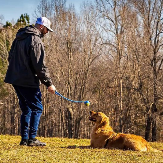 Homme à casquette avec lanceur de balle pour chien bleu face à un Golden Retriever couché.