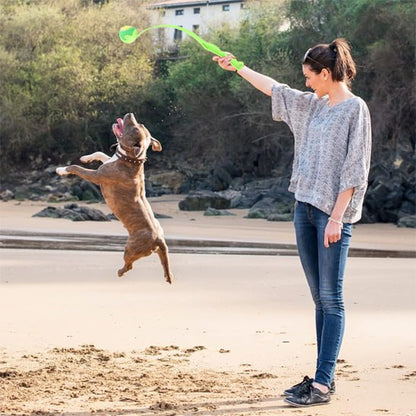Femme sur la plage avec un lanceur de balle pour chien vert et un Pitbull qui saute.