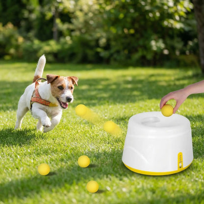 Main insérant une balle dans le lanceur de balle pour chiens, chien courant dans le jardin.