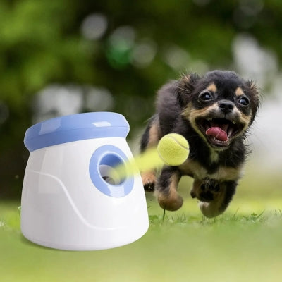 Petit chien noir et feu courant après une balle éjectée par le lanceur de balle pour chiens.