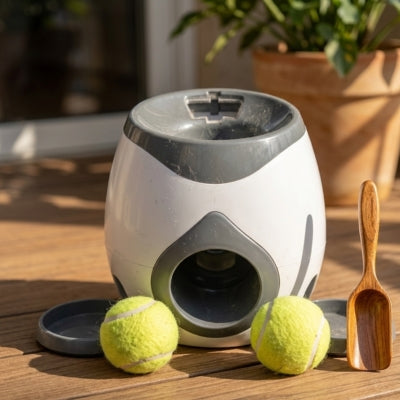 Lanceur de balle pour chiens sur une terrasse en bois avec deux balles et une pelle de service.