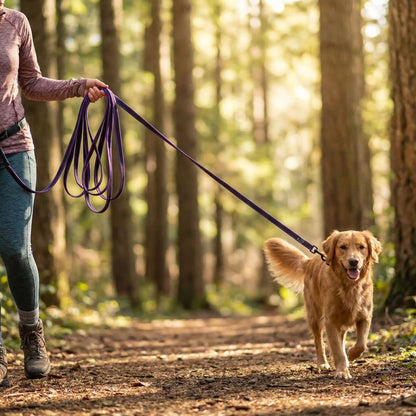 Femme en randonnée tenant une longe chien violette pour son Golden Retriever sur un sentier forestier.