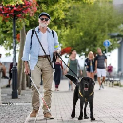 Homme malvoyant avec canne blanche guidé par un Labrador noir portant une longe chien en cuir.