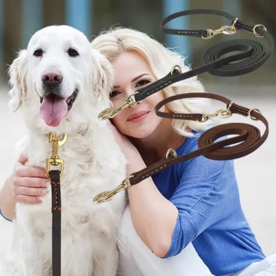 Femme serrant un Golden Retriever blanc avec présentation de la longe chien en cuir marron et noir.