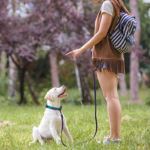 Un chiot assis dans l'herbe regarde sa maîtresse qui utilise une longe chien pour l'éducation.