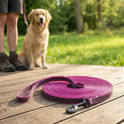 Longe chien violette enroulée sur une terrasse en bois avec un Golden Retriever en arrière-plan.