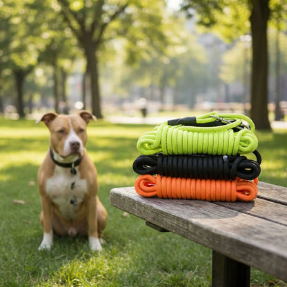 Staffordshire Bull Terrier assis avec 3 modèles de longe chien : verte, noire et orange.