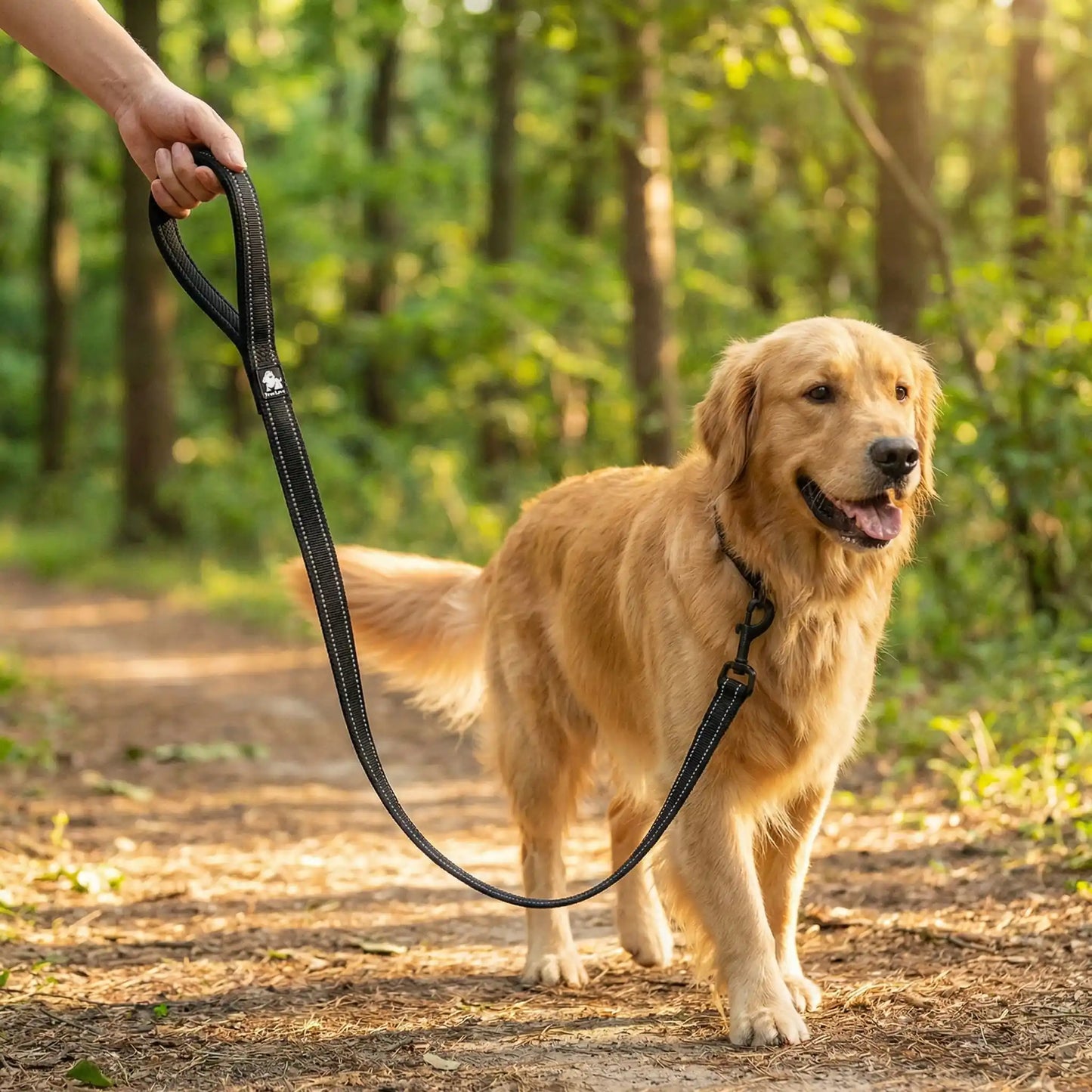 Longe chien noire réfléchissante avec poignée rembourrée pour plus de confort.