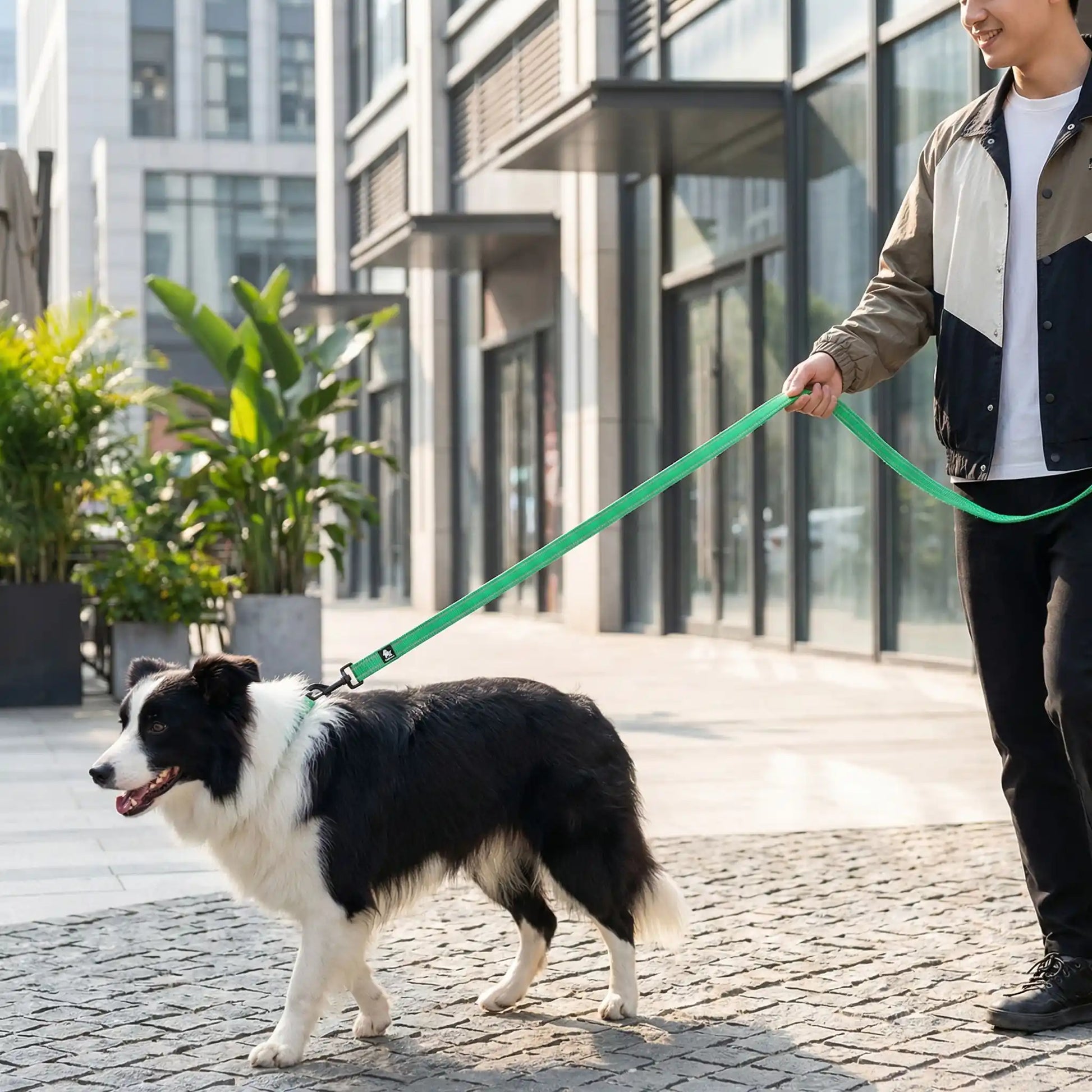Homme marchant en ville avec une longe chien verte robuste et confortable.