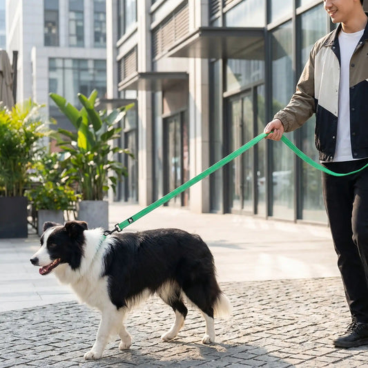 Homme marchant en ville avec une longe chien verte robuste et confortable.