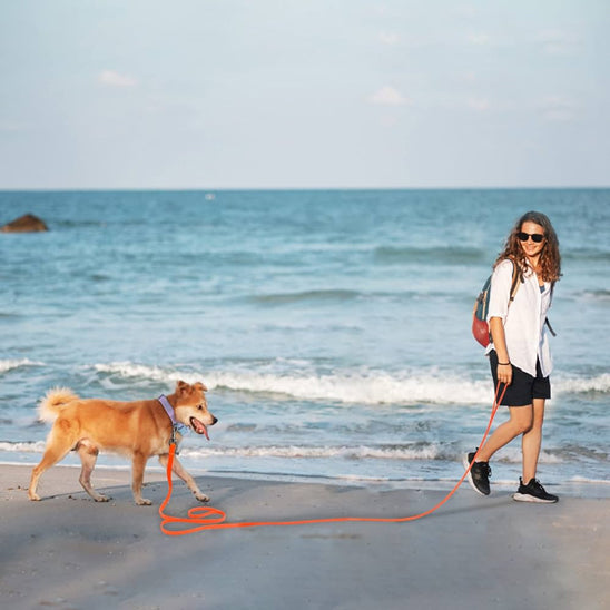 Femme marchant sur le sable avec son chien attaché par une grande longe pour chien orange vif.
