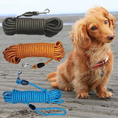 Teckel à poil long à côté de trois modèles de longe pour chien : noire, orange et bleue.