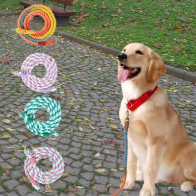 Présentation de 4 coloris de longe pour chien et un Golden Retriever avec le modèle bleu.
