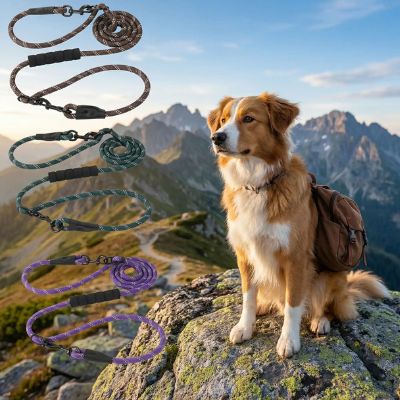 Trois modèles de longe pour chien colorées et un Golden Retriever avec sac à dos en montagne.