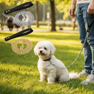 Chien Bichon assis à côté d'une longe pour petit chien déclinée en coloris or et argent.
