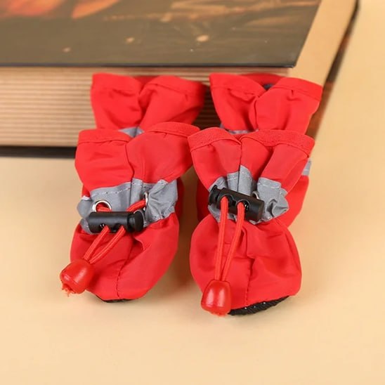 Gros plan sur un lot de quatre chaussures pour chien rouges et imperméables.