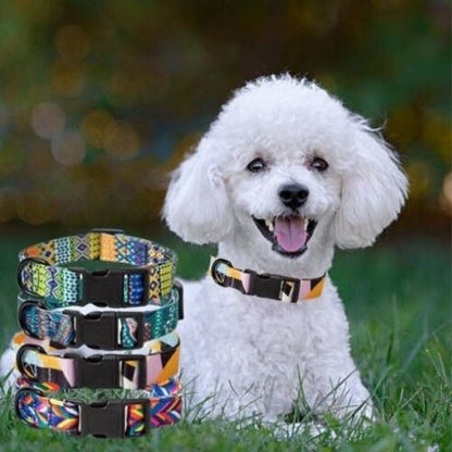 Ce collier pour chien aux motifs bohémiens donne look et style à ce chien bichon frisé assis dans le gazon au parc, accompagné d'une Laisse. 

