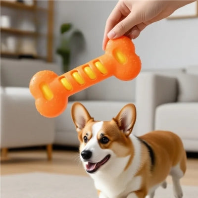 Main tenant un jouet chien indestructible orange au-dessus d'un Corgi attentif.