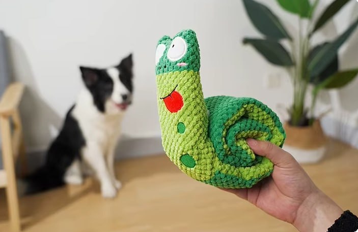 Main présentant une peluche pour chiens en forme d'escargot rigolo face à un Border Collie.