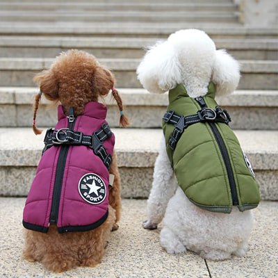 Deux Caniches de dos en manteau chien bordeaux et vert olive avec fermeture éclair.