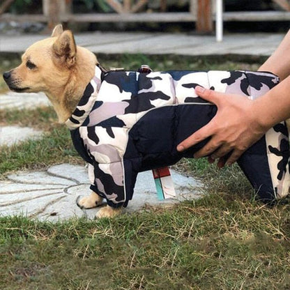 Profil d'un petit chien en manteau pour chien à motif camouflage noir, blanc et gris.