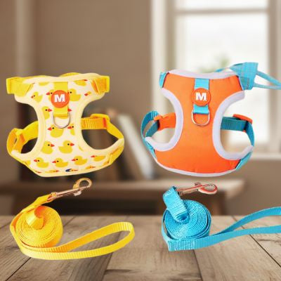 Présentation de deux modèles de harnais chien : motif canard jaune et bicolore orange-bleu.