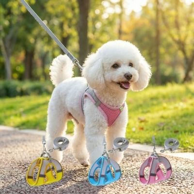 Bichon frisé en laisse avec trois modèles de harnais pour chien colorés en incrustation.