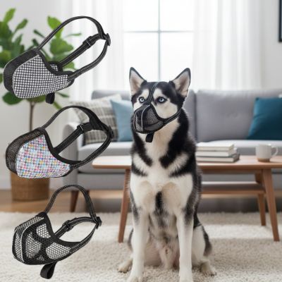 Chien Husky assis avec muselière chien et présentation de trois modèles aux motifs variés.