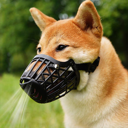 Shiba Inu de profil avec une muselière anti aboiement noire de type panier et sangles réglables.