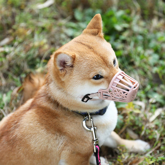 Shiba Inu assis en laisse portant une petite muselière anti aboiement rose clair.