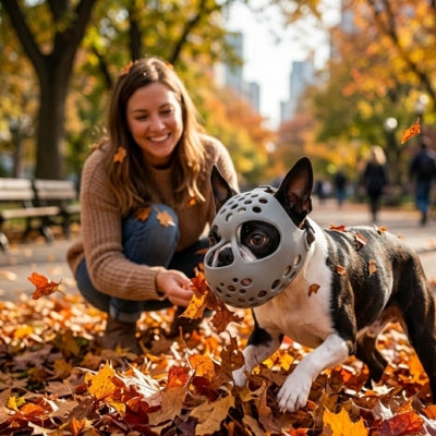 Femme jouant dans les feuilles avec un Boston Terrier et une muselière bouledogue français grise.