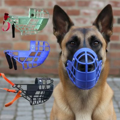 Malinois avec muselière chien bleue et modèles vert, bleu et noir sur le côté.