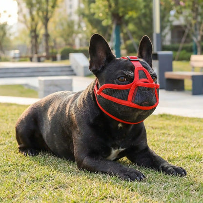 Bouledogue français noir allongé portant une muselière pour bouledogue français à bords rouges.