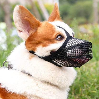 Golden Retriever de profil portant une muselière pour chien en maille noire souple.