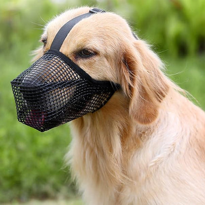 Muselière pour chien en mesh noir ajustée sur un chien à poil court de couleur crème.