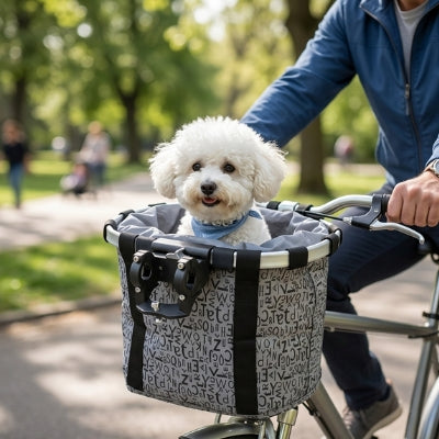 Bichon Frisé avec bandana bleu dans un panier chien vélo gris à motifs lettres dans un parc.