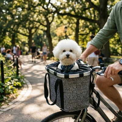 Homme à vélo avec un Bichon Frisé dans un panier chien vélo gris à motifs lettres dans un parc.