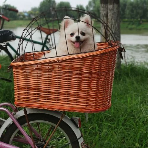 Spitz blanc souriant dans un panier chien velo en osier avec grille, près d'un lac.