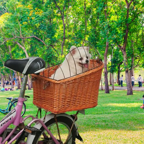 Panier chien velo en osier avec Spitz blanc dans un parc verdoyant et ensoleillé.