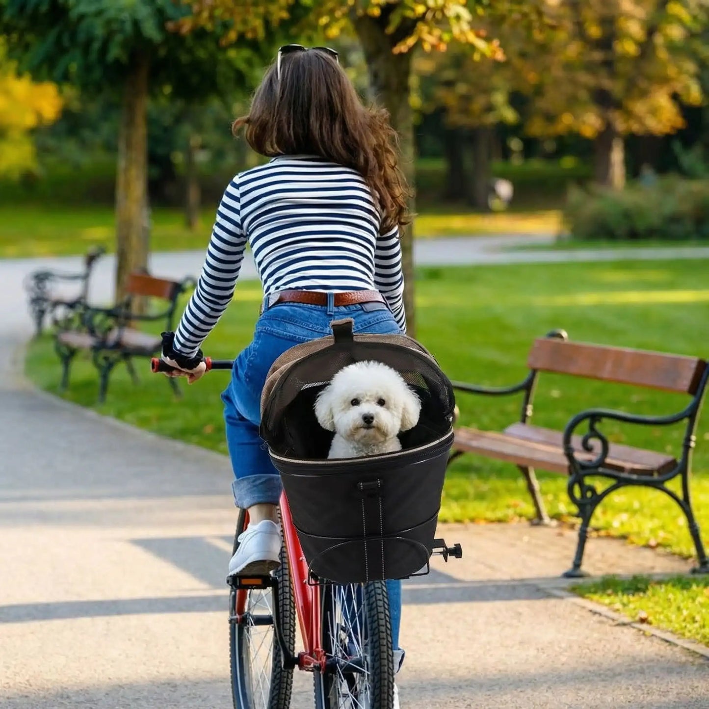 Vue arrière d'un Bichon blanc dans son panier pour vélo chien noir fixé sur un vélo rouge.