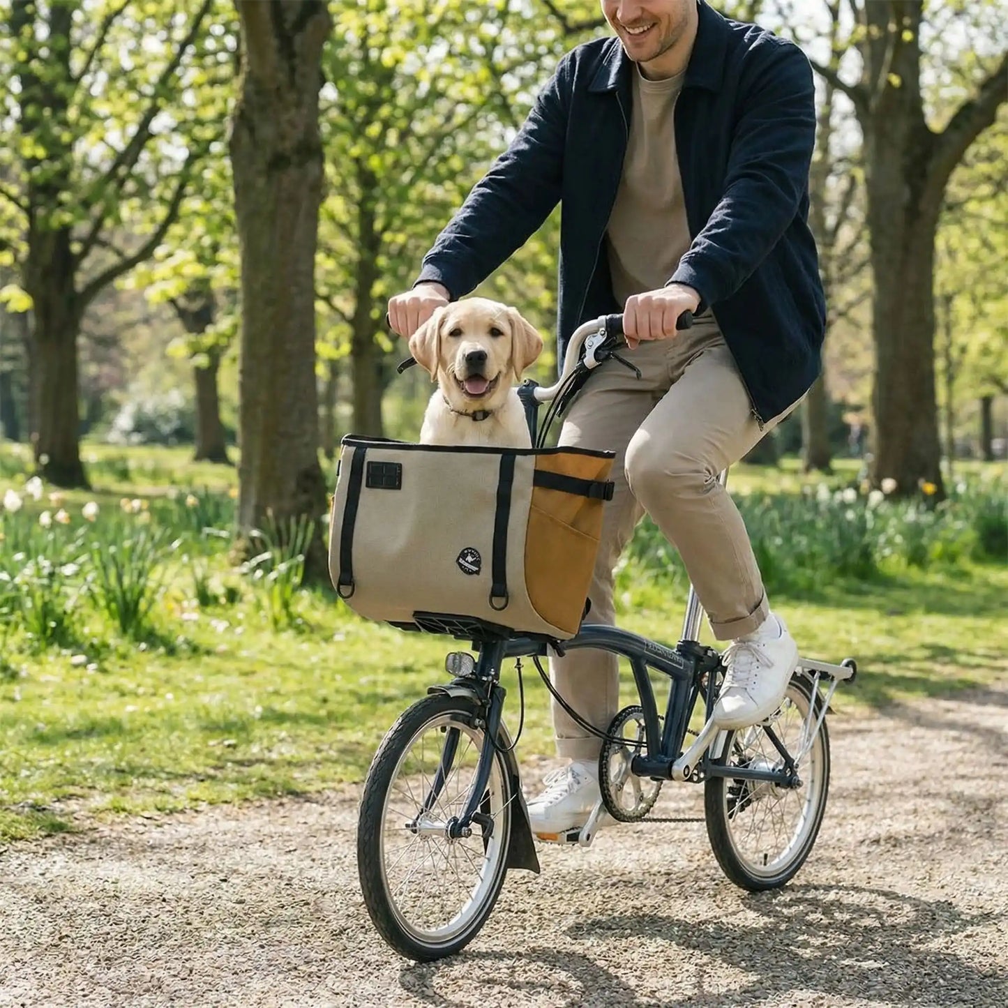 Un jeune Labrador Retriever assis dans un panier pour vélo chien beige et marron.