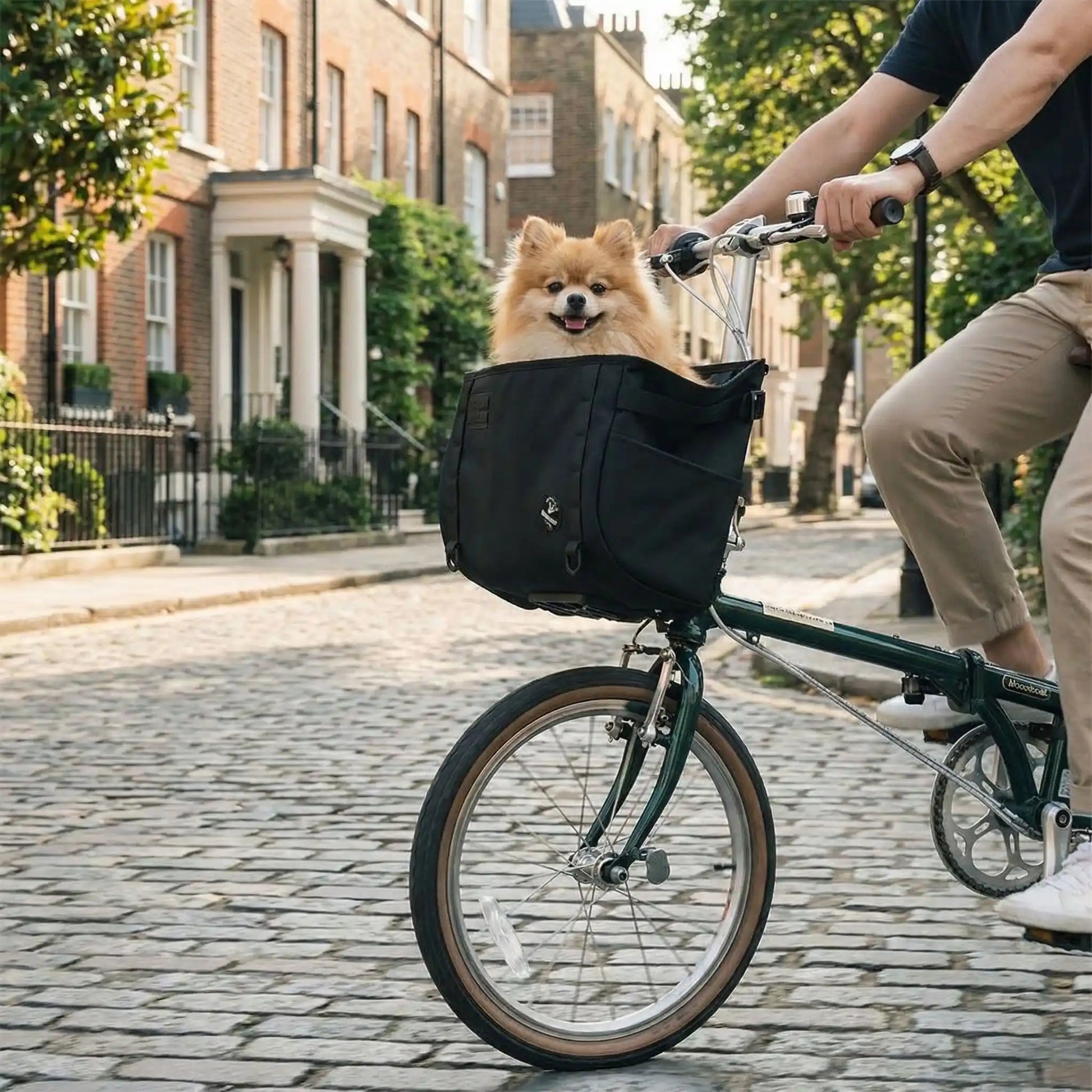 Spitz Allemand orange assis dans un panier pour vélo chien noir dans une rue de Londres.